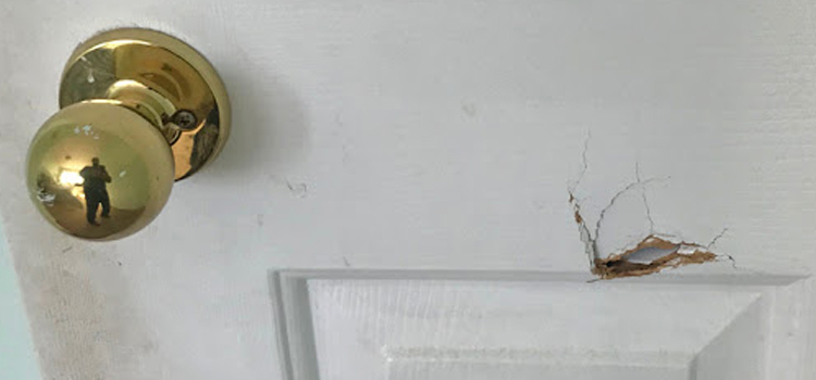 interior door hole repair Roseland