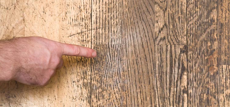 Wood Door Scratch Repair in Roseland